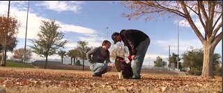 13 Days - Veteran gets service dog