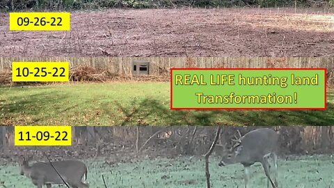 WOW! BEFORE & AFTER! BIG BUCK, New micro food plot, watering hole & EVIDENCE of success!!