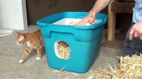 How To Make A Shelter For Your Neighborhood Cats