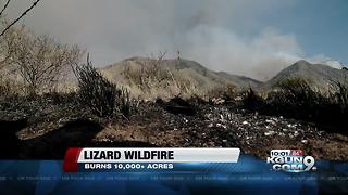 Lizard Fire causes evacuations in Dragoon