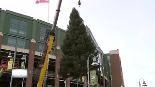 New tree for Festival of Lights at Lambeau