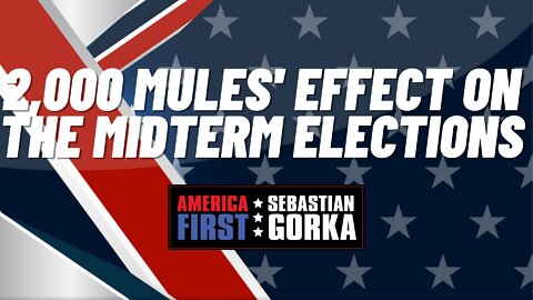 2,000 Mules' effect on the Midterm Elections. Dinesh D'Souza with Sebastian