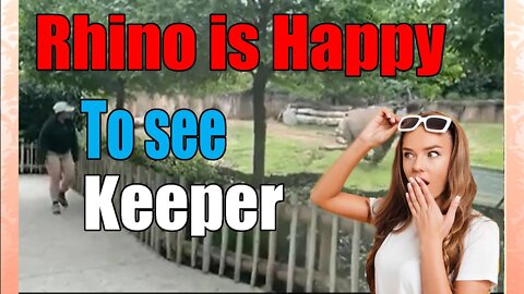 Hippo Thrilled to See Keeper - Raw Video😲😲