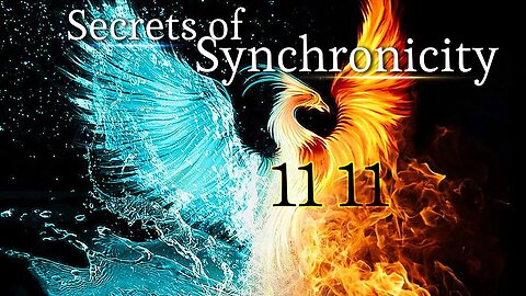 The Secret Science of Synchronicity