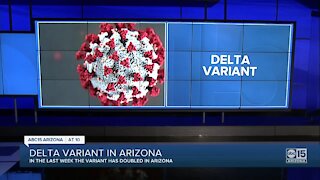 Delta variant becoming more prominent COVID-19 variant in Arizona