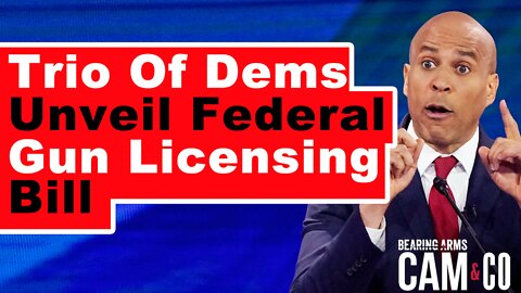 Trio of Democrats unveil federal gun licensing bill