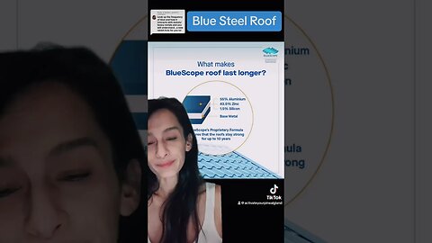 Blue Steel Roof
