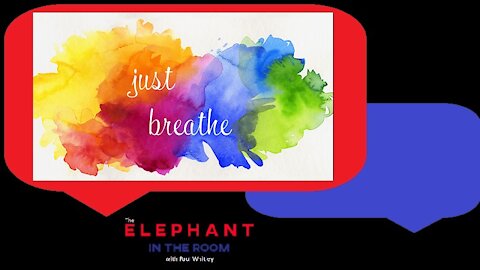 Take a Moment to Breathe | The Elephant in the Room | Nov 4, 2020