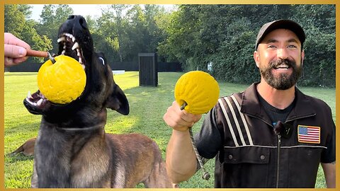 EXHAUST Your DOG With This SIMPLE GAME!