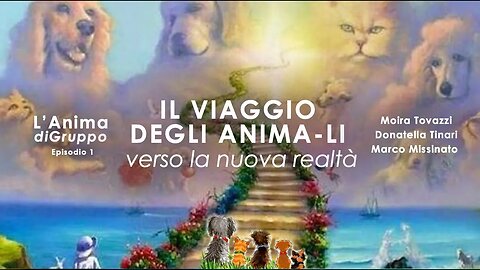 IL VIAGGIO DEGLI ANIMA-LI Verso la nuova realtà - Episodio 1 L'anima di Gruppo