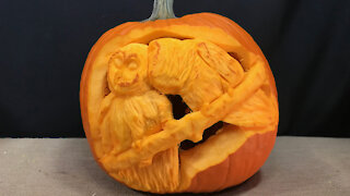 Squashcarver 'Owl Always Love You' pumpkin carving time-lapse