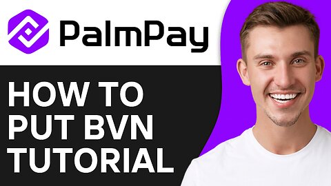 How To Put BVN on Palmpay
