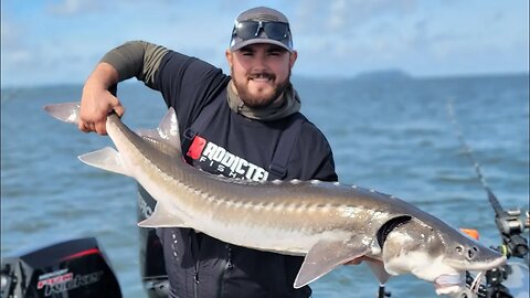 SPRINGER Bobber Downs & Salmon COOK OFF! (Marlin VS Jordan)