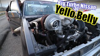 Turbo LS Nissan at Yello Belly