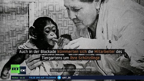 Leningrader Blockade: Trotz Leid kümmerten sich Zoo-Mitarbeiter um ihre Schützlinge