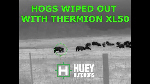 HOGS WIPED OUT WITH THERMION XL50 LRF