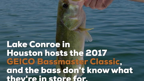 The Predicted Winning Bassmaster Baits