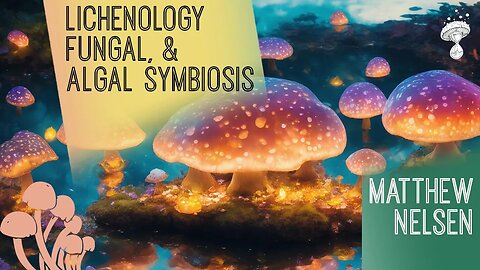 Lichenology - Biodiversity and Evolution of Fungal, Algal Symbiosis | Matthew Nelsen PhD