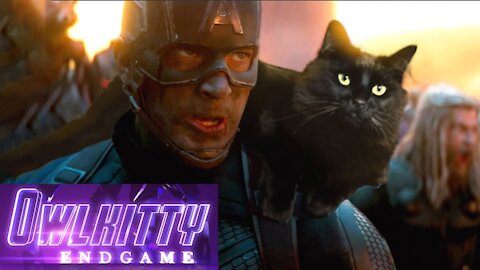 Avengers: Endgame with my cat, hello Kattyr