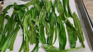 How to properly dry out your fresh herbs