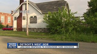 Land Bank responds to overgrown yard concerns