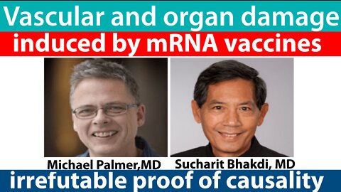 Vascular and organ damage induced by mRNA vaccines: irrefutable proof of causality