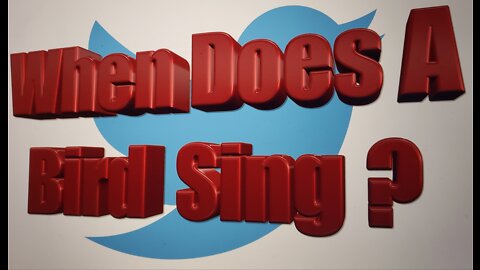 When Does A Bird Sing ?