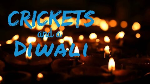 Crickets and Diwali | Crickets and Light | Ambient Sound | What Else Is There?