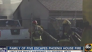 Dogs escape house fire in north Phoenix