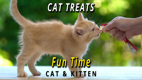 CAT GAMES: CAT TREATS