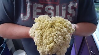 How to get white cauliflower easily!