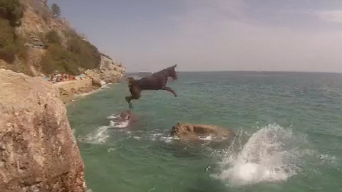 Doberman jumping from high cliff