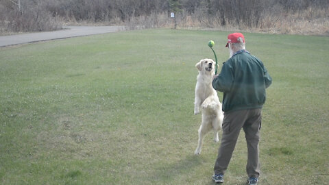 Jeannie is Learning to Fetch