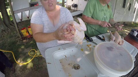 A Skill Everyone Should Know!! Butchering Our Freedom Ranger Chickens