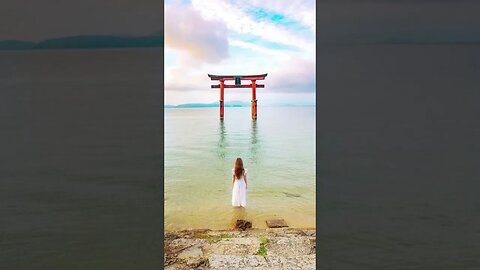 Torii gates Japan