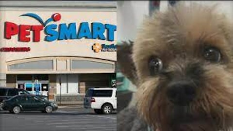 EXPLORING PETSMARTS animals in the worlds