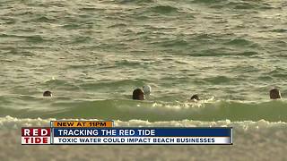 Southwest Florida tourists head to St. Pete and Clearwater beaches despite red tide