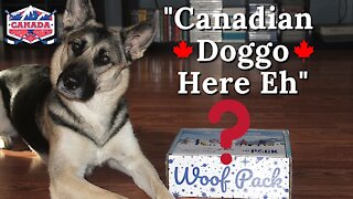 Hockey Night In Doggo Land | Dog Subscription Box Unboxing 2021