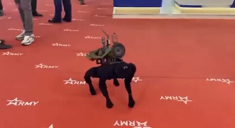 M60 robot dog