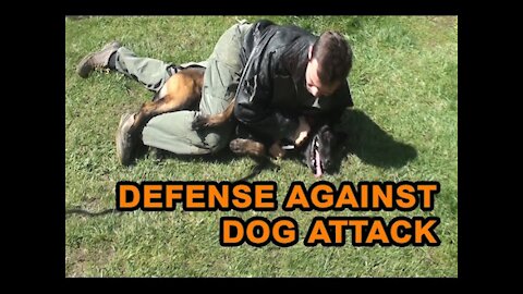 How to defend against a dog/self defense against dog attack