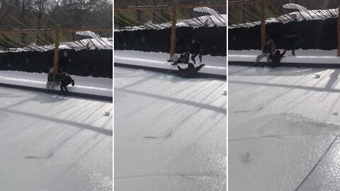 Girls Attempt To Skate On "Frozen" Pool, End Up Falling Through Ice