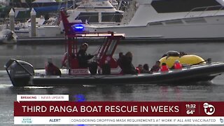 Questions raised as panga boat rescues increase