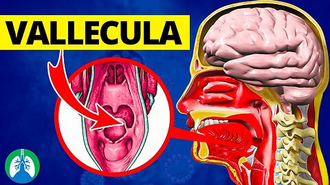 Vallecula (Medical Definition) | Quick Explainer Video
