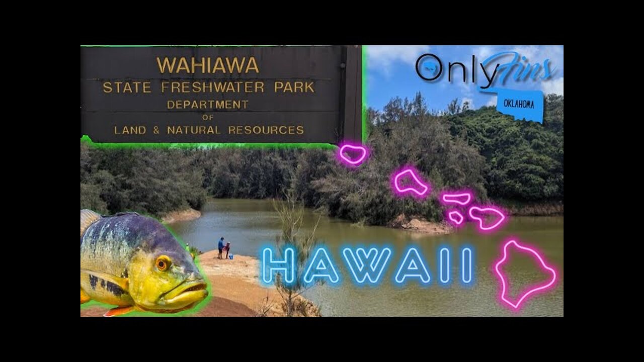 We Landed Hawaii's Majestic Peacock Bass : Wahiawa Lake AKA Wilson Lake
