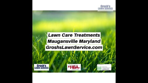Lawn Care Treatments Maugansville Maryland