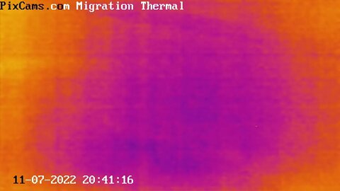 Nocturnal flocks migrating 11/7/2022 @ 20:41