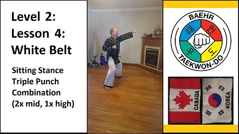 Baehr Taekwondo: 02-04: Yellow Stripe: Sitting Stance - Triple Punch Combo (2x middle, 1x high)