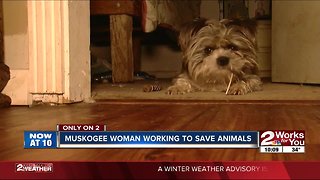 Muskogee woman working to save animals