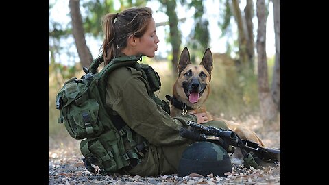 Dogs with jobs. IDF Oketz canine unit work in Gaza footage