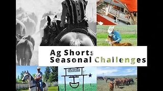 Seasonal Challenges - Ag Shorts